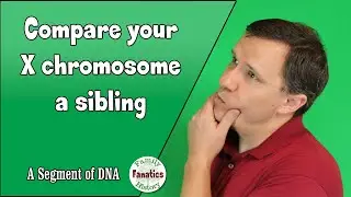 XDNA: насколько много общего у братьев и сестёр? | Генетическая генеалогия в деталях