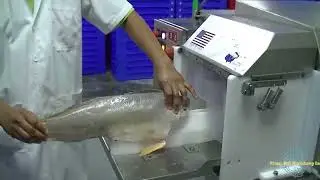 Φιλεταριστική μηχανή για κρανιό - Pisces FS 8000
