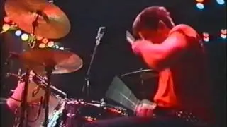 Stiff Little Fingers  Fly the Flag