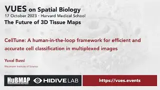 VUES on Spatial Biology - October 2023, Yuval Bussi