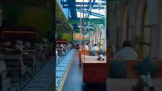 Verandah Moonshine ~Best cafe of Punjabi BaghMust visit once#shorts #cafe #cafevlog #travel #foodie