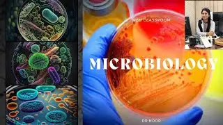 Encapsulated Bacteria | First Aid | Made Easy