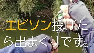 【高滝湖】養老川でエビソンに出まくりました。