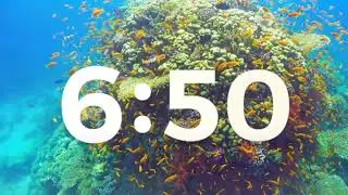 10 minute timer With fish and calming music
