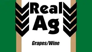 Real Ag (506) - Grapes/Wine