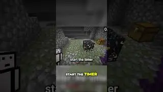 How Many Spider Eyes Can We Get in 10 Minutes in Minecraft?