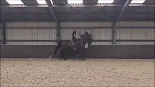 Phierce JC (Franklin X Krack C)