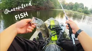 This Lure  Catches Everything!