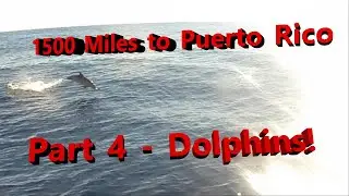 1500 Miles to Puerto Rico Pt 4  Dolphins Island Packet 420