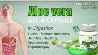 Aloe vera capsule के फायदे (myrecharge ayurveda)