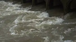 Cesspool - Suwon Yim (Official Music Video) 🌒