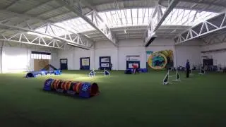 Dark Side Legion Bahiya Leia - agility RSDC HRY1  12.3.2017