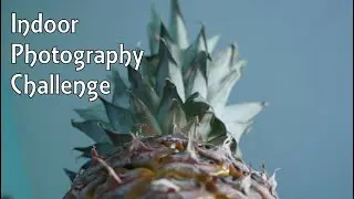 PHOTOGRAPHY CHALLENGE INDOORS | Kris & Chaps On Distance