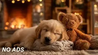 12 часов музыки для улучшения сна собак 🐶💖 Снятие тревоги разлуки 🎵 Успокаивающая музыка для собак ✨