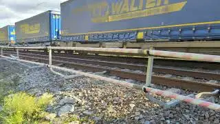Train Spotting Germany:Container Zug unterwegs im Rheintal hier N&auml;he Kestert in Richtung R&uuml;desheim