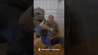 PRCA world #1 Will Lummus and the Smarty Rodeo Bulldogger