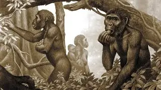 आदिमानव का जीवन कैसा था? | Human Evolution Documentary Hindi | वो सच लो आप नहीं जानते