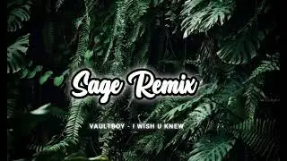 Vaultboy_-_I Wish U Knew (Sage 675 Chill Remix) 2026 🇵🇬 