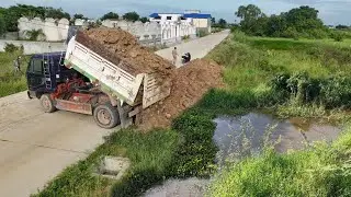 Nicely Job Started New Project!5Ton DumpTruck Pouring Soil Flood Area,By Skillful Dozer Pushing Soil