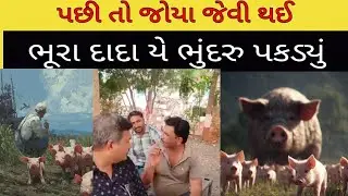 ભૂરા દાદા યે ભુંદરું પકડ્યું પછી તો જોયા જેવી થઈ #trend #bagdana 