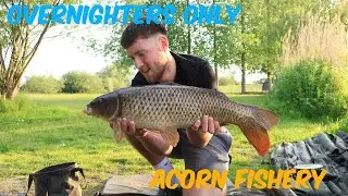 UK CARP FISHING - ACORN FISHERY - PART 1 @gocatchfish  #fishingvideo
