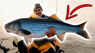 GIANT STRIPED BASS SURROUNDED MY KAYAK!!!