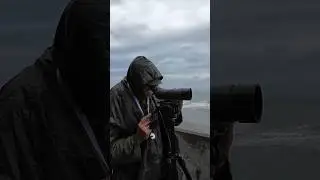 Digiscoping #shorts
