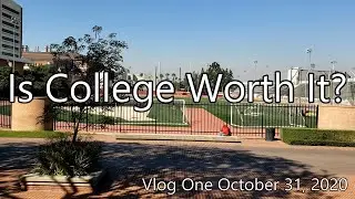 Should Artists Go to College?
