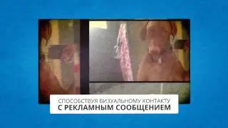 Media Play Production (Promo video)