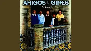 Málaga olé tú