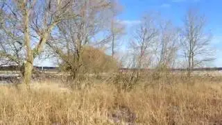 Lots And Land for sale - TBD S Walton Road, Winn, MI 48896