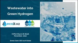 COP27: Wastewater into Green Hydrogen &ndash; ecoX Incorporates  CWTI's Innovative AmmEL-H2 Technology