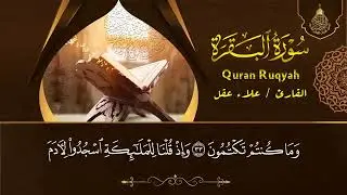 علاء عقل: سورة البقرة، يس، الواقعة، الرحمن، الملك، المعوذات، الإخلاص شفاء وبركة وحفظ من الشيطان