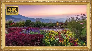 Turn Your TV into a Living Painting 🌸🌄 | Colorful Garden Sunset in Stunning 4K Ultra HD