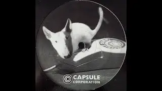 Capsule Corporation - pm_005 [A2]