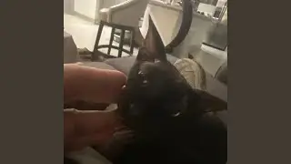 Just Exploded