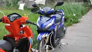 Baby look Ala