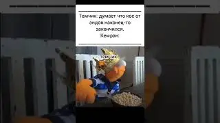 лучший🦧☝️🔥🐒🥰 #rucoyonline #mmorpg #mmo #mmogames #curseofaros #mirrorworld #relax