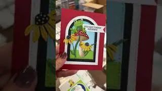 4/25/25 what&rsquo;s new? Spellbinders Paper Arts