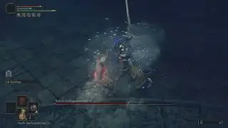Elden Ring Rellana Lv1 Zero Scadu Blessing