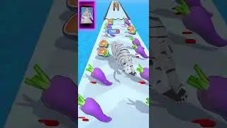 Cat Evolution 3D #shorts