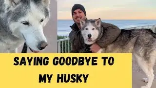 Saying Goodbye to My Dog