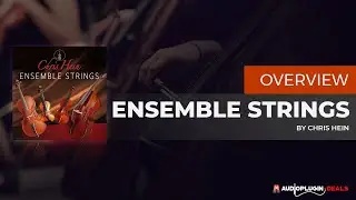 Checking out Chris Hein Ensemble Strings!