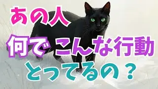 あの人 何でこんな行動とってるの？？#あの人の本音 #ワラコリーディング #ハリネズミたちのジレンマ 