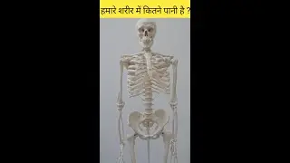 human body structure|| हमारे शरीर में कितने पानी है? #shorts