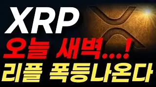 [Ripple Outlook] XRP's Target Price Revealed?! An Uptrend Has Begun