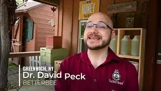 From Plant to Pantry: Bees and Honey in Washington County, NY
