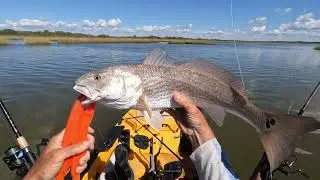 Last Day of Fishing #fishing #kayakfishing #marshfishing #redfish #saltwaterfishing #fish