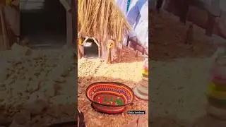 Village life project/sst project/science easy steps for beginners RidaArtshop #satisfying #creative