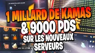 1 MILLIARD DE KAMAS ATTEINT SUR LE NEW SERVEUR ! RECAP FARM !